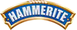 logo1